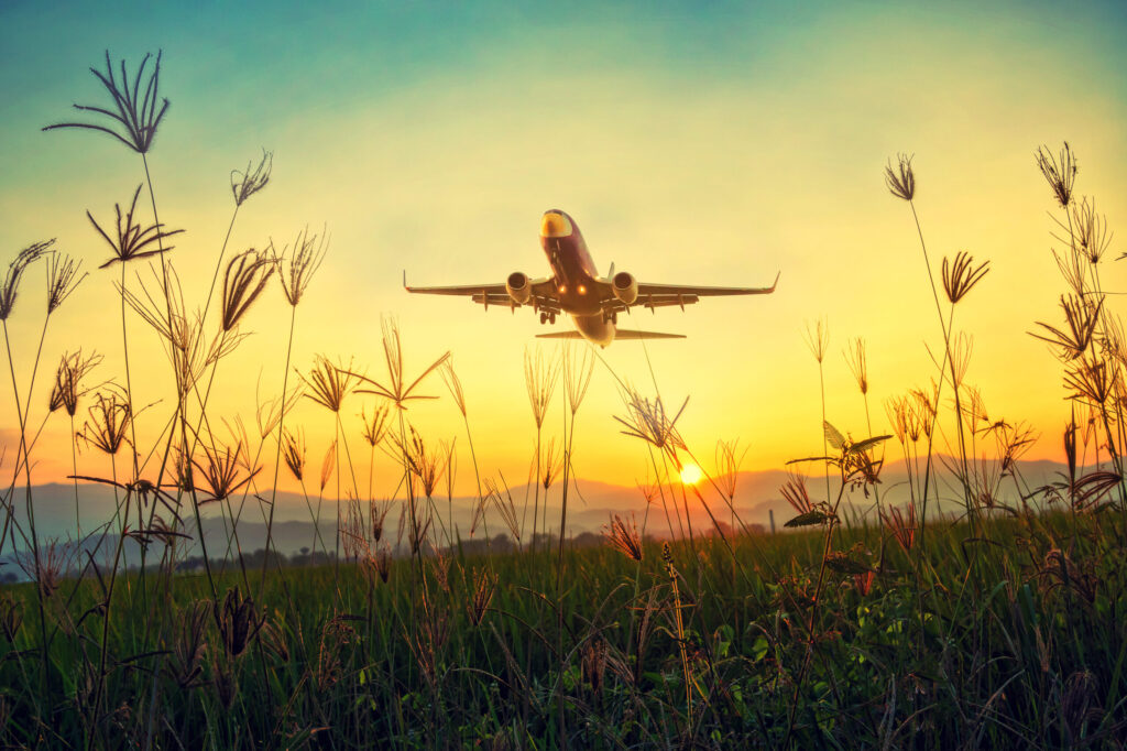 Grass,Sky,Nature,Airport,Plane,Flower,Ground,Landscape,Green,Field